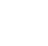 polkadot logo